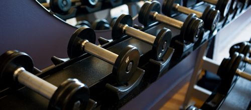 Gym Fitness