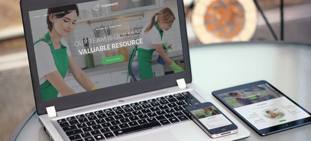 CleanMate WordPress Theme for cleaning, housekeeping and maintenance services