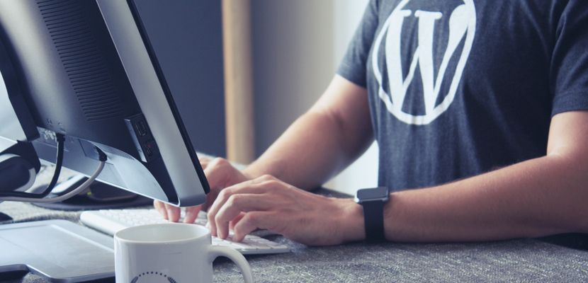 Simplify Your WordPress Theme Installation with Our Service