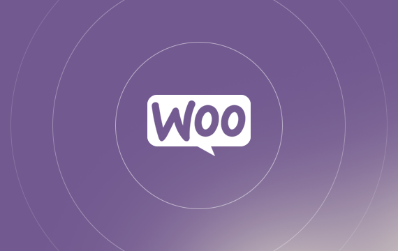 Chauffeur Taxi Booking System for WordPress