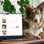 Pet Hotel Booking System for WordPress – The Complete Pet Boarding Plugin