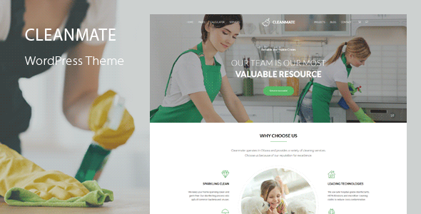 CleanMate WordPress Theme